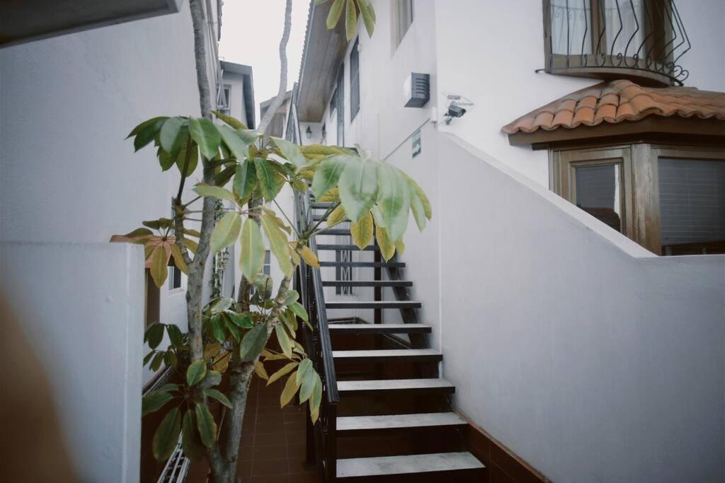 엔세나다 Casa Macfarland Boutique 아파트 외부 사진