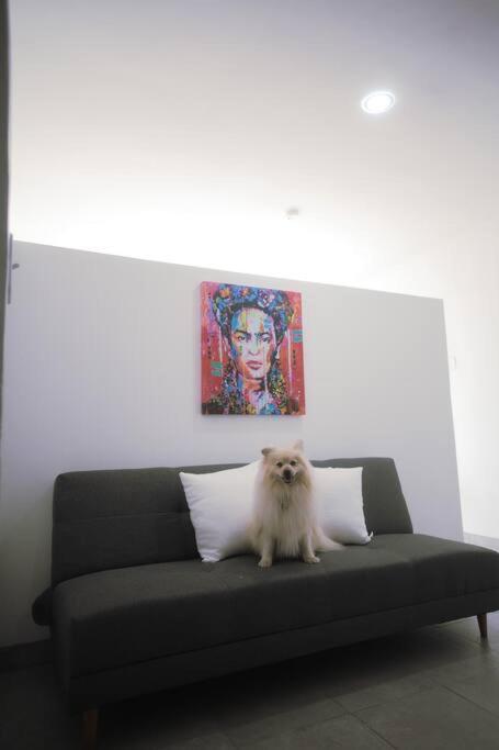 엔세나다 Casa Macfarland Boutique 아파트 외부 사진